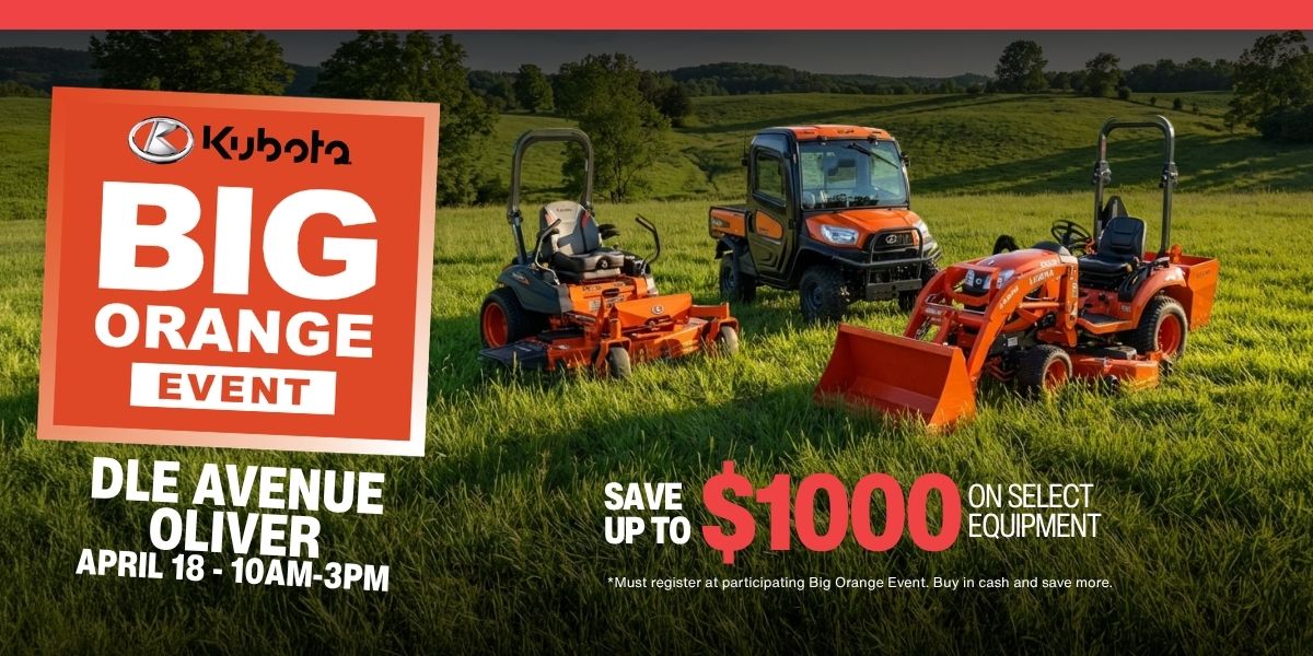 Big Orange Event – Oliver